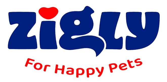 Zigly Logo