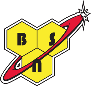 BSN Logo