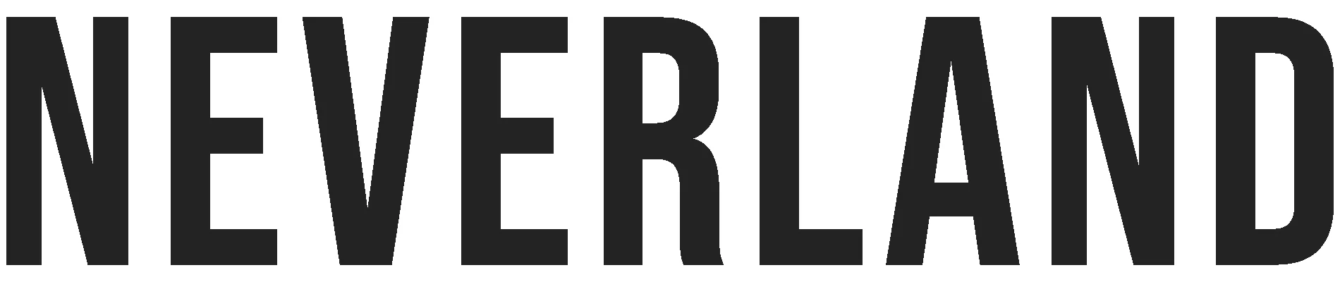 Neverland Store Logo