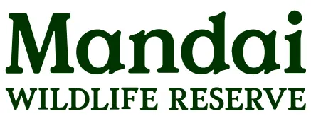 Mandai Logo