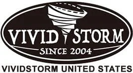 Vividstorm Logo